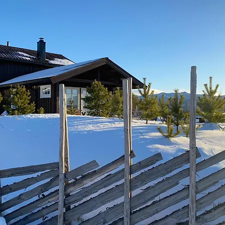 Tatil Evi Gorgeous In With Wifi